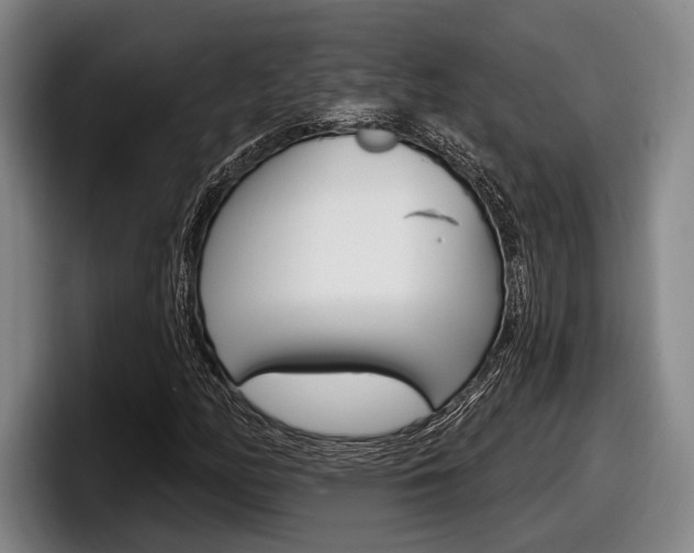 X0000098151158200804171150