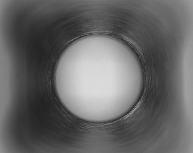 X0000098151161200804171150