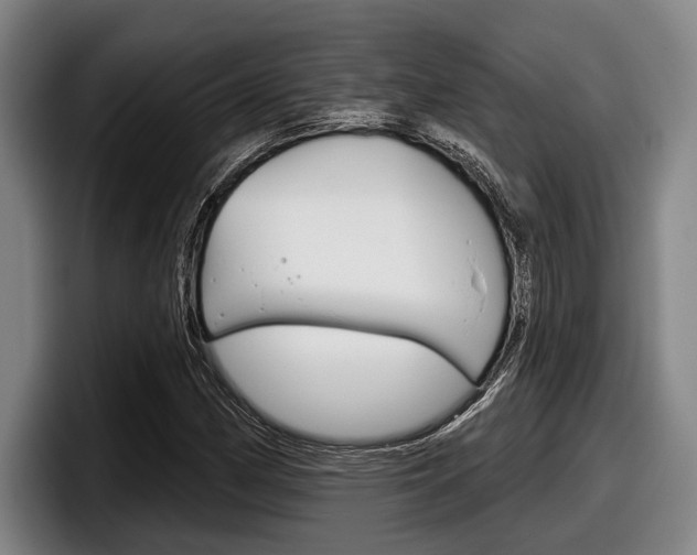 X0000098151162200804171150