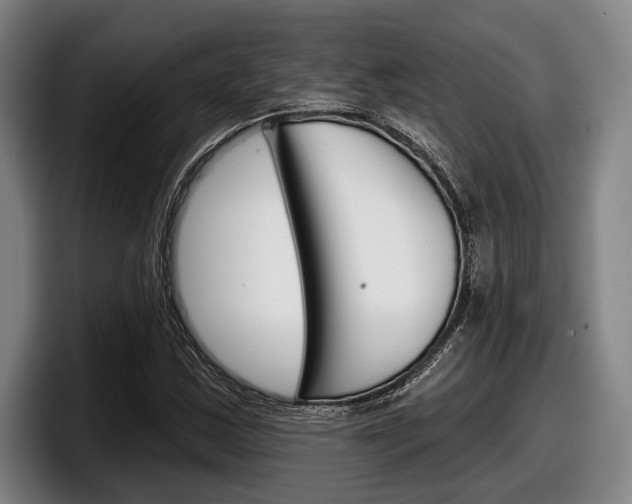 X0000098151163200804171150