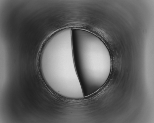 X0000098151164200804171150