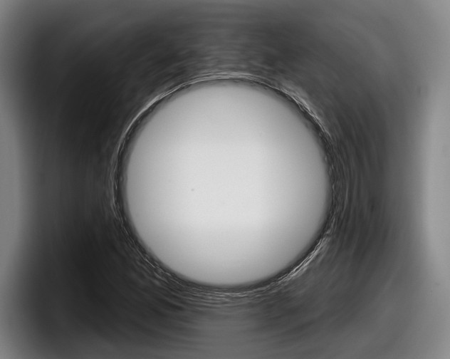 X0000098151165200804171150