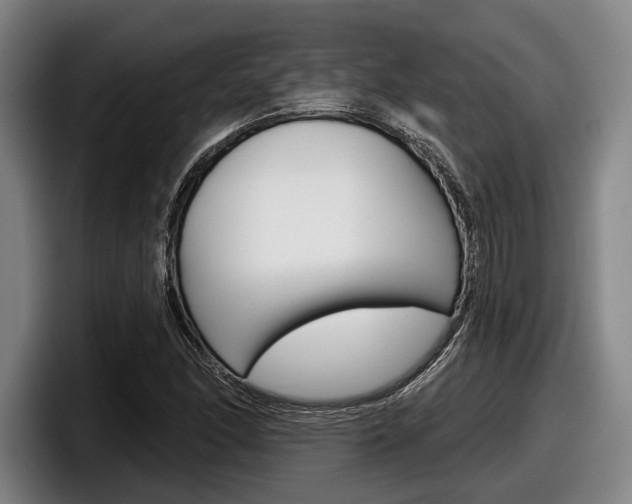 X0000098151166200804171150
