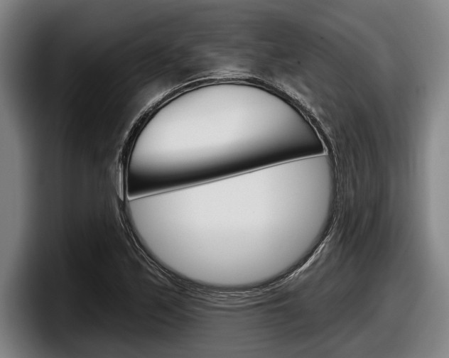 X0000098151171200804171150
