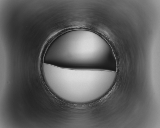 X0000098151172200804171150