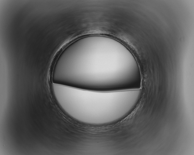 X0000098151173200804171150