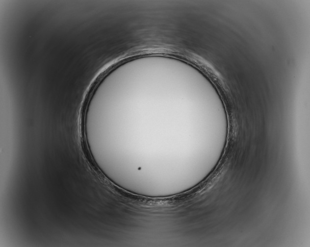 X0000098151174200804171150
