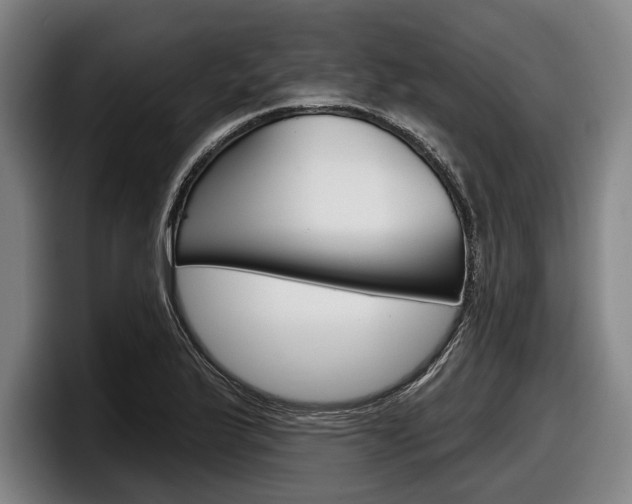 X0000098151175200804171150