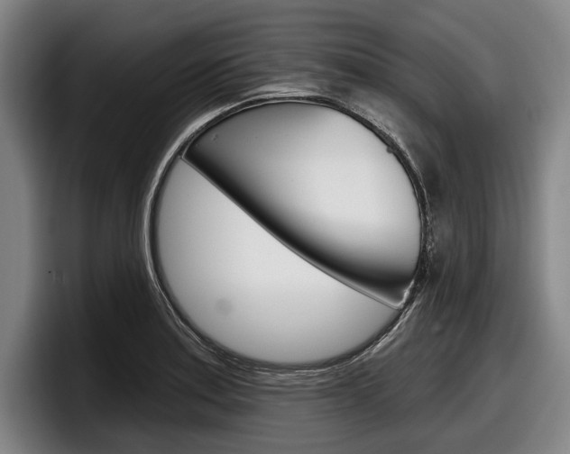 X0000098151179200804171150