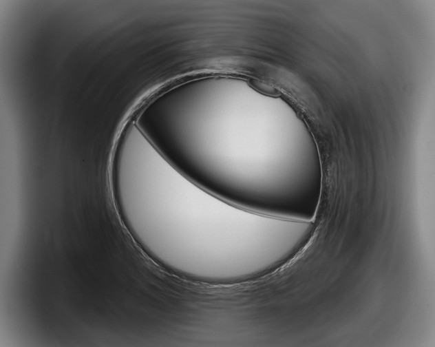 X0000098151180200804171150