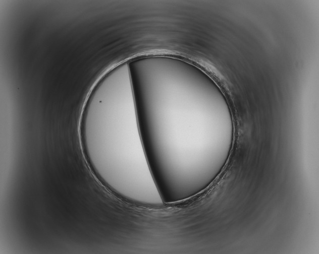 X0000098151181200804171150