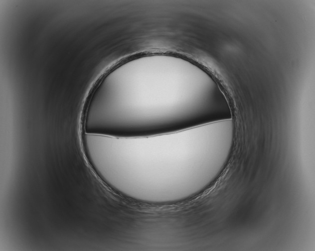 X0000098151183200804171150