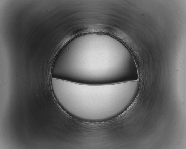 X0000098151185200804171150