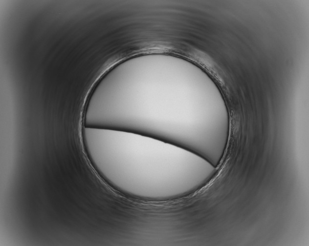 X0000098151186200804171150