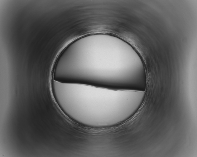 X0000098151187200804171150