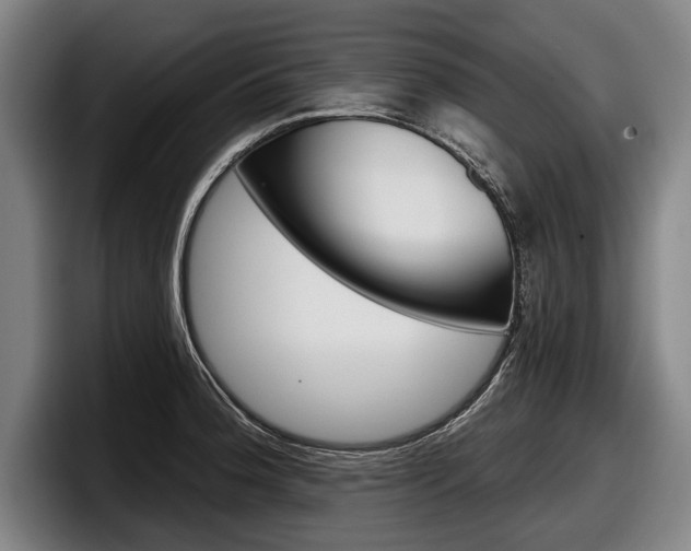 X0000098151188200804171150