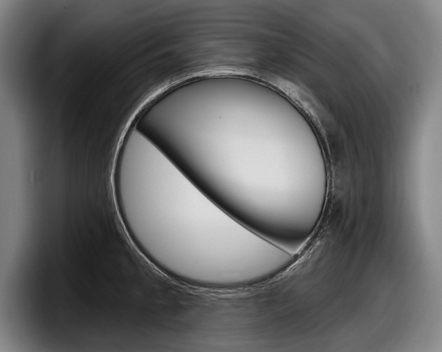 X0000098151189200804171150