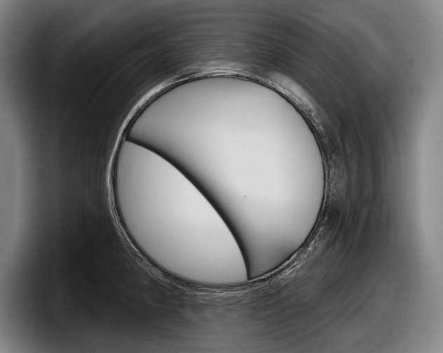 X0000098151190200804171150