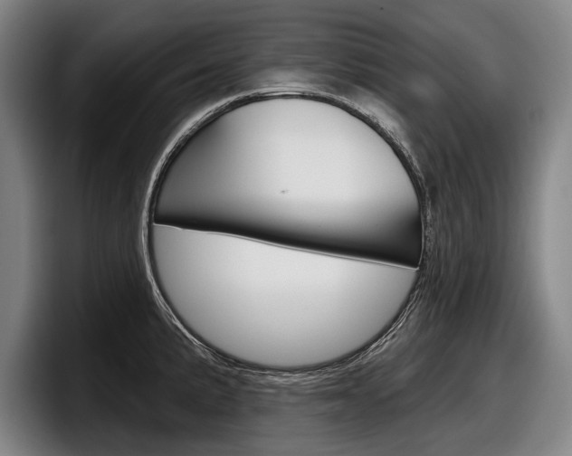 X0000098151191200804171150