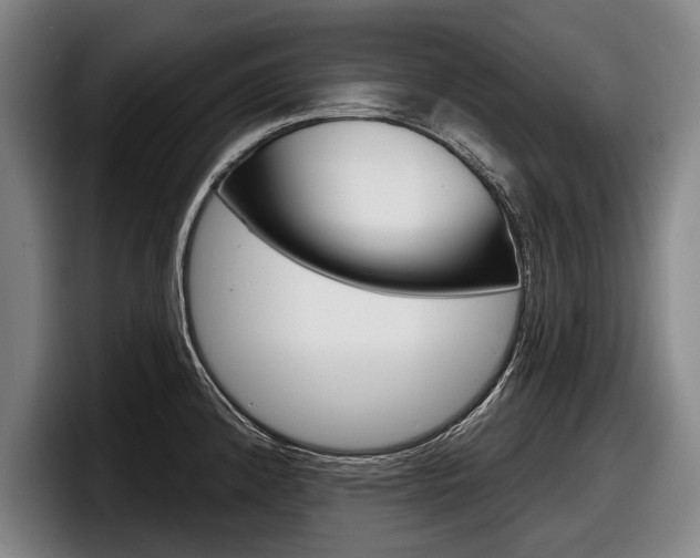X0000098151192200804171150