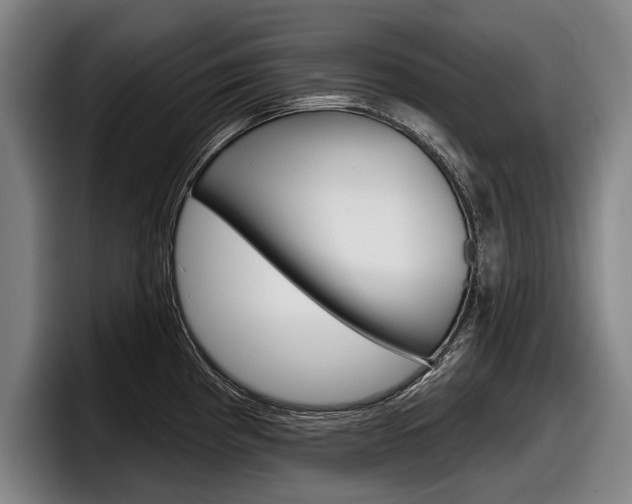 X0000098151193200804171150
