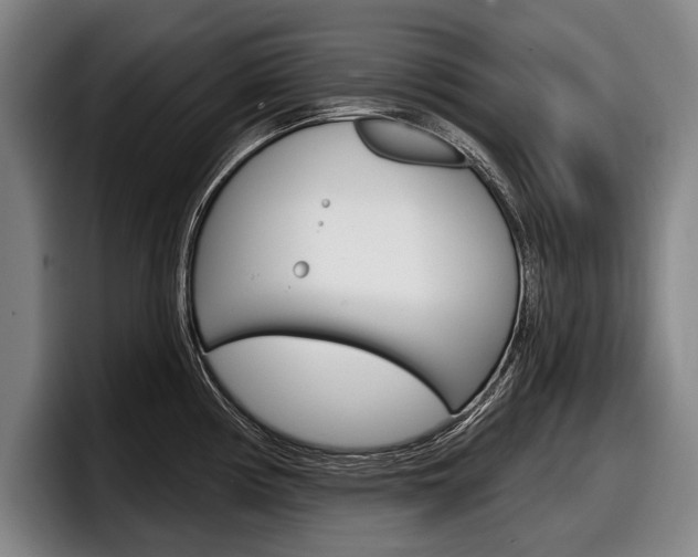 X0000098151194200804171150