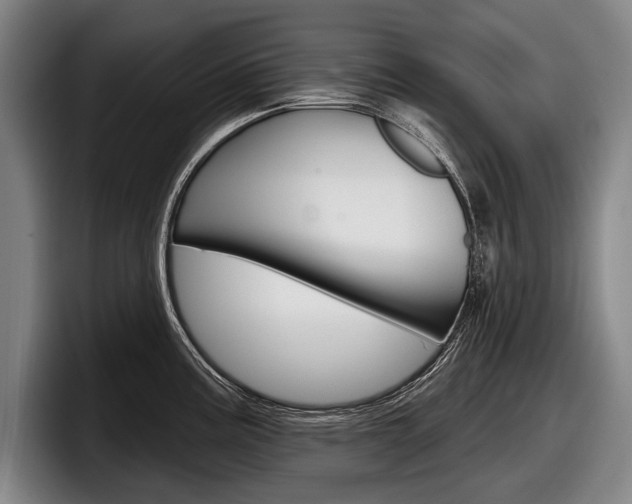 X0000098151195200804171150