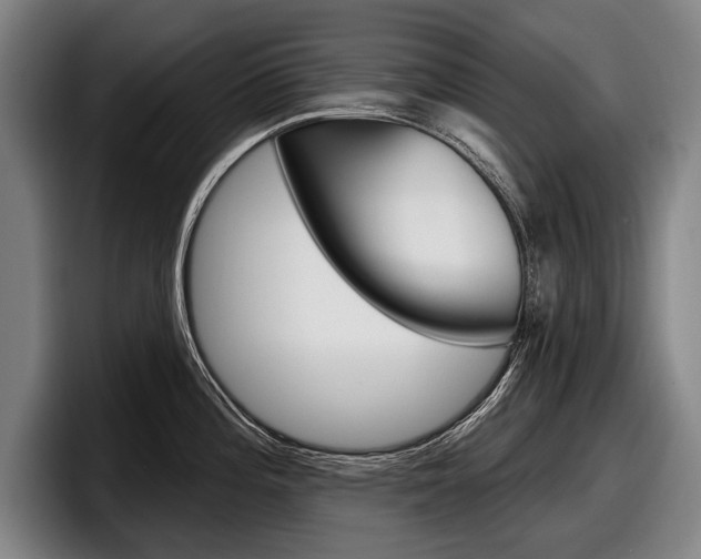 X0000098151196200804171150