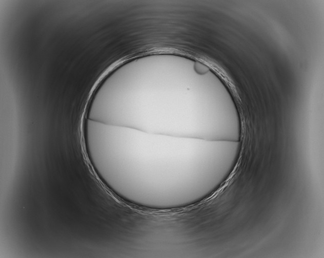 X0000098151198200804171150