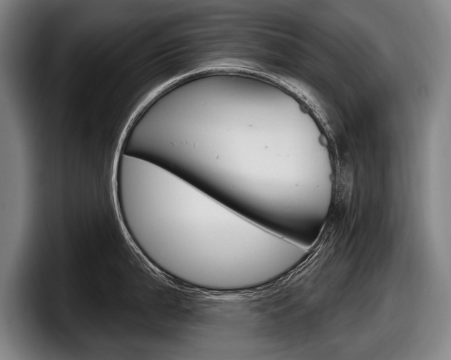 X0000098151199200804171150