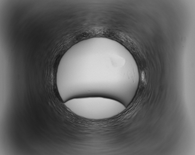 X0000098151203200804171149