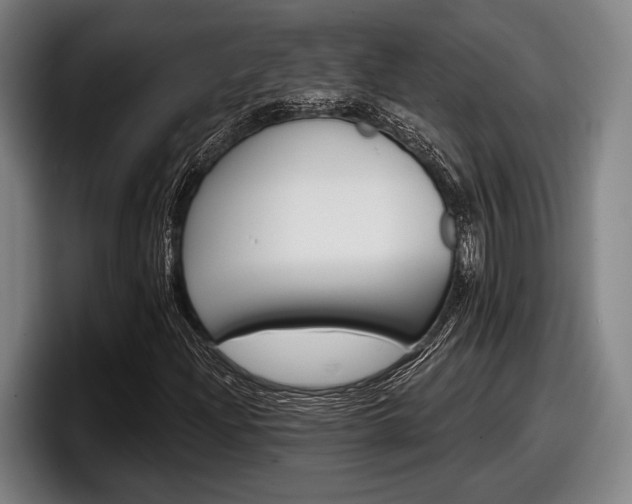 X0000098151204200804171149