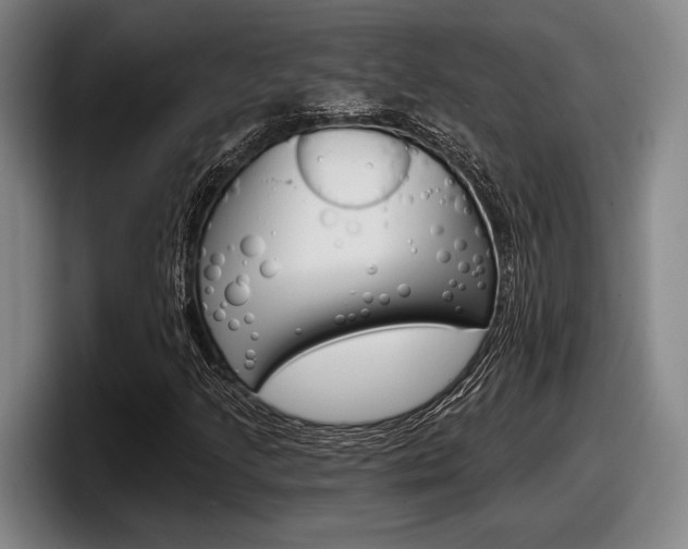 X0000098151205200804171149