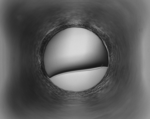 X0000098151206200804171149
