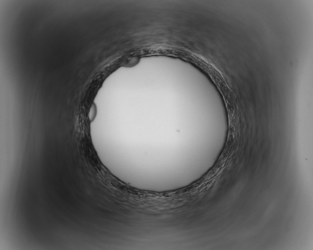 X0000098151207200804171149