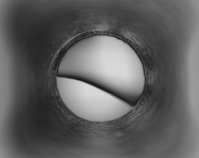 X0000098151208200804171149