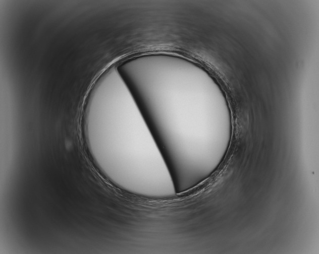 X0000098151212200804171149