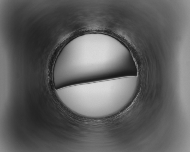 X0000098151213200804171149