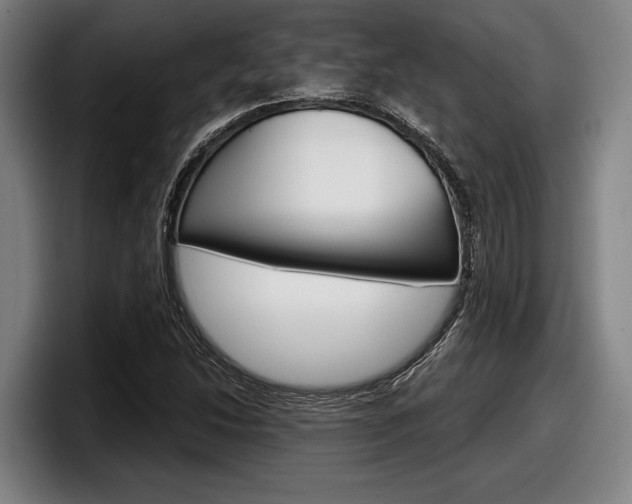 X0000098151214200804171149