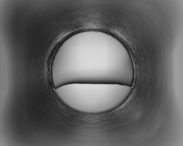 X0000098151215200804171149