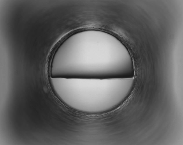 X0000098151216200804171149