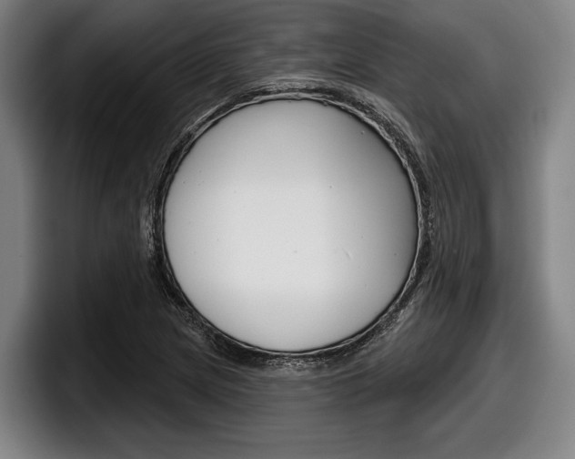 X0000098151217200804171150