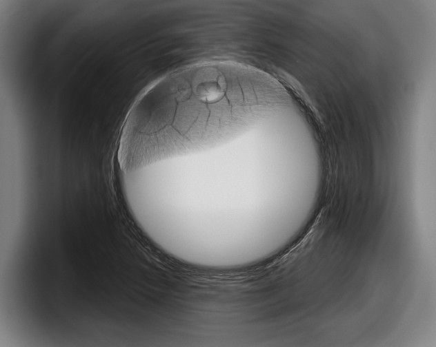 X0000098151218200804171150