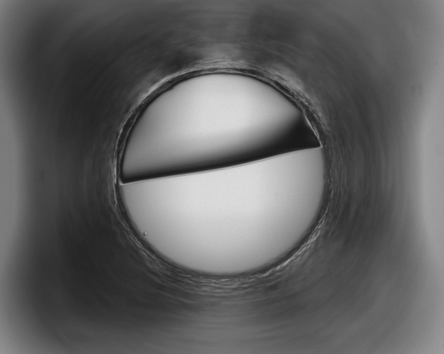 X0000098151220200804171150