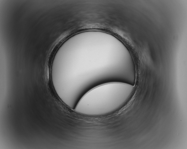 X0000098151221200804171150