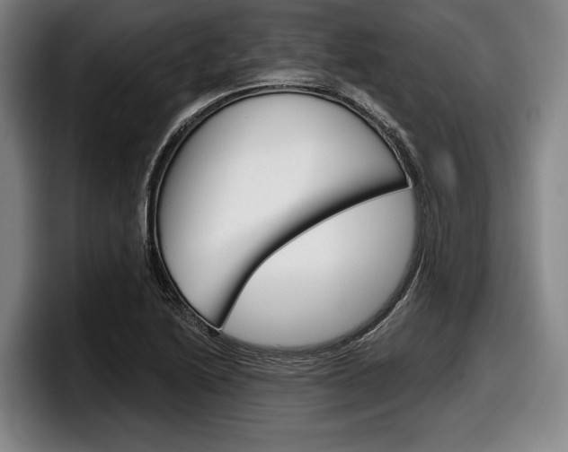 X0000098151222200804171150