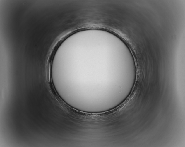 X0000098151223200804171150