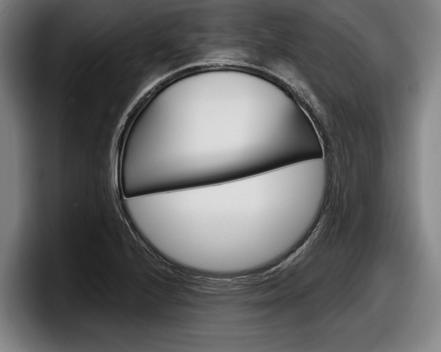X0000098151224200804171150