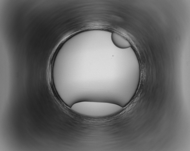 X0000098151227200804171150