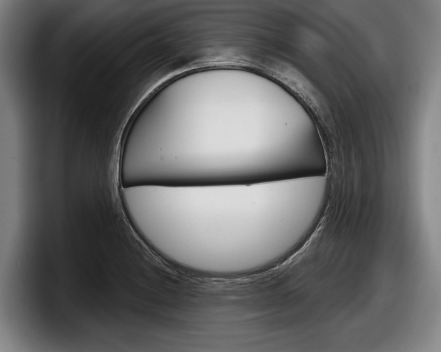 X0000098151228200804171150